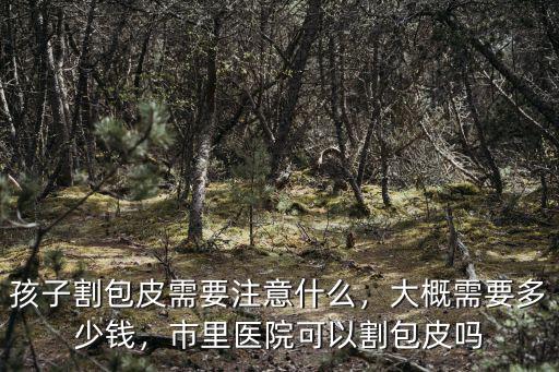 河源割個(gè)包皮多少錢,大概需要多少錢