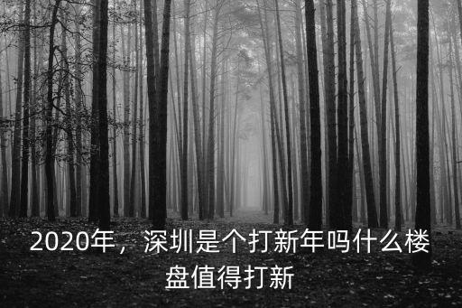 深圳住宅怎么打新,深圳是個打新年嗎