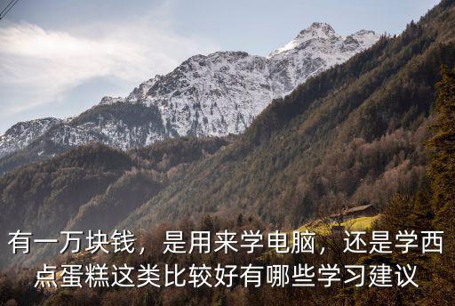有一萬塊錢，是用來學電腦，還是學西點蛋糕這類比較好有哪些學習建議