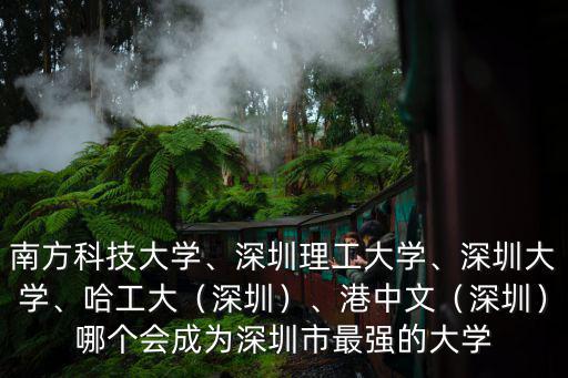 深圳的大學都在哪里,深圳有哪些不錯的大學