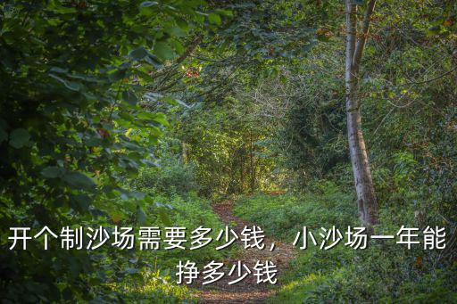 日照市有多少個(gè)沙場,小沙場一年能掙多少錢