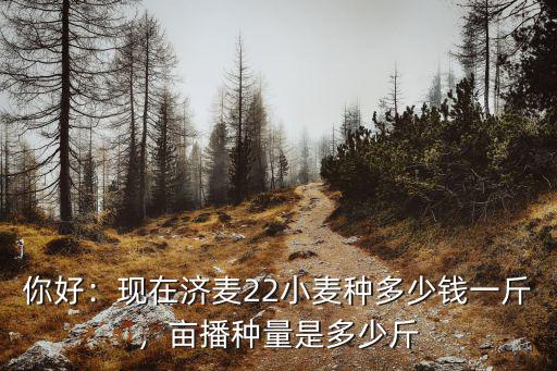 你好：現在濟麥22小麥種多少錢一斤，畝播種量是多少斤