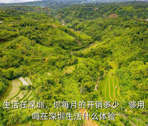 深圳一個月生活支出多少錢,在深圳生活什么體驗