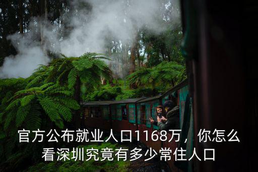 官方公布就業人口1168萬，你怎么看深圳究竟有多少常住人口