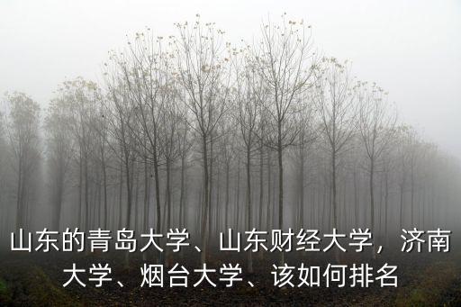 山東的青島大學(xué)、山東財(cái)經(jīng)大學(xué)，濟(jì)南大學(xué)、煙臺(tái)大學(xué)、該如何排名