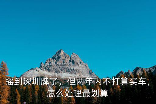 搖到深圳牌了，但兩年內不打算買車，怎么處理最劃算