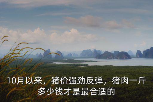 10月以來，豬價強勁反彈，豬肉一斤多少錢才是最合適的
