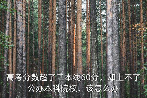 浙江高考高于本科線多少分能上本科,高考分數超了二本線60分