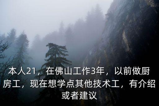 本人21，在佛山工作3年，以前做廚房工，現(xiàn)在想學(xué)點(diǎn)其他技術(shù)工，有介紹或者建議