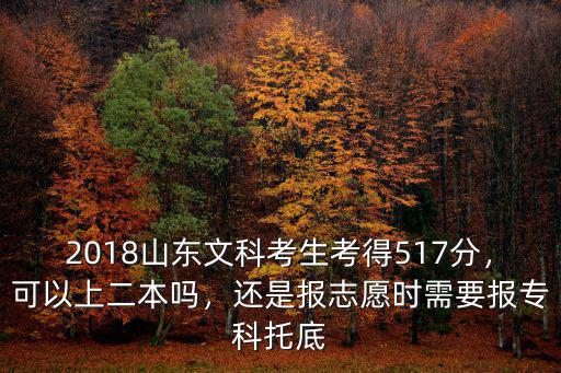 2018山東文科考生考得517分，可以上二本嗎，還是報(bào)志愿時(shí)需要報(bào)專科托底