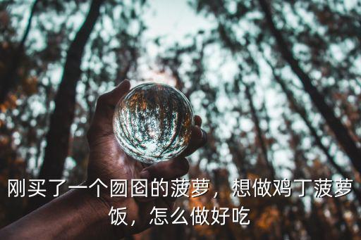 剛買了一個囫圇的菠蘿，想做雞丁菠蘿飯，怎么做好吃