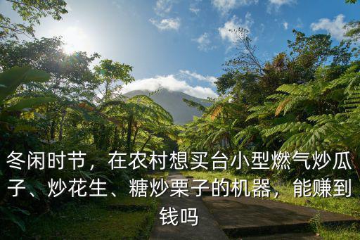 山東炒瓜子機器 小型多少錢一臺,在農村想買臺小型燃氣炒瓜子