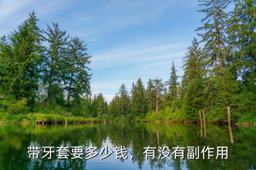 浙江東陽的牙套多少錢,帶牙套最低多少錢