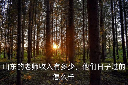 泰安帶編制的老師工資大概多少錢,泰安在編老師的工資大概多少