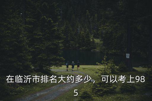 在臨沂市排名大約多少，可以考上985
