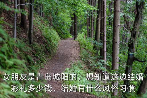 青島地區結婚彩禮是多少,女朋友是青島城陽的