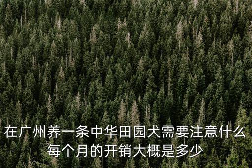 廣州養一條狗需要什么手續多少錢,養一只柯基需要什么條件