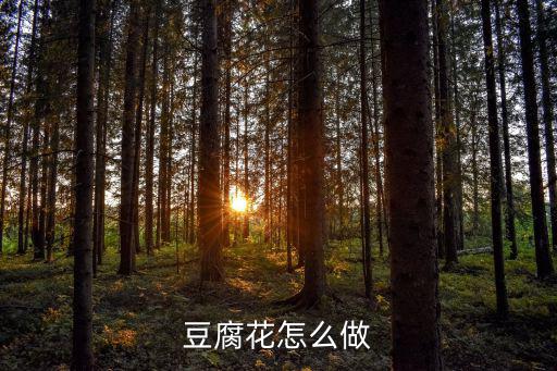 廣東人愛吃的豆花怎么做,泉州人吃的豆花是怎么制作的