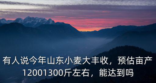 有人說今年山東小麥大豐收，預估畝產12001300斤左右，能達到嗎