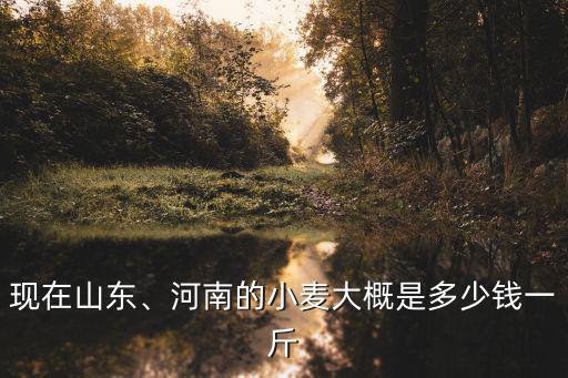 菏澤新小麥價格多少錢一斤,河南的小麥大概是多少錢一斤