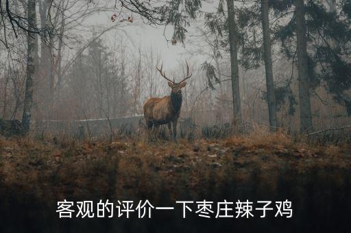 棗莊鑫虹辣子雞多少錢一箱,客觀的評價一下棗莊辣子雞
