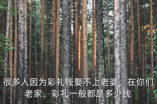 湖州彩禮一般都多少,溫州結婚娶媳婦要多少彩禮