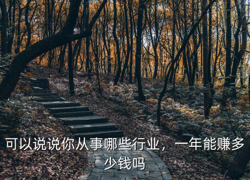 可以說說你從事哪些行業，一年能賺多少錢嗎