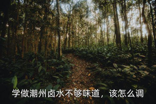 學做潮州鹵水不夠味道，該怎么調