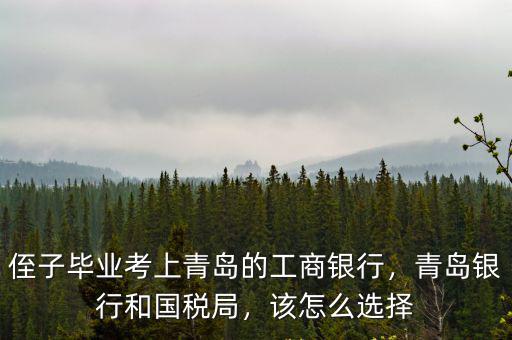 侄子畢業考上青島的工商銀行，青島銀行和國稅局，該怎么選擇