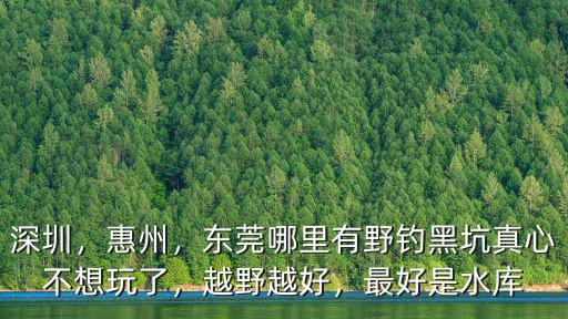 深圳，惠州，東莞哪里有野釣黑坑真心不想玩了，越野越好，最好是水庫(kù)