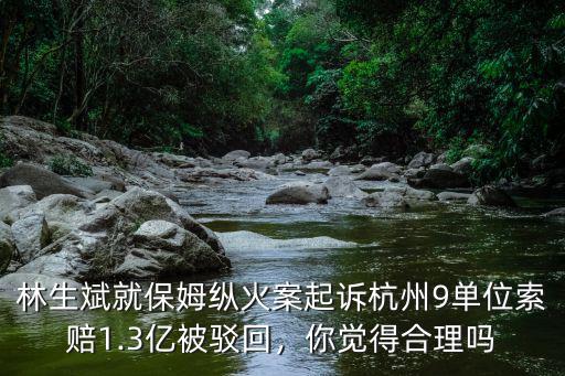 林生斌就保姆縱火案起訴杭州9單位索賠1.3億被駁回，你覺(jué)得合理嗎
