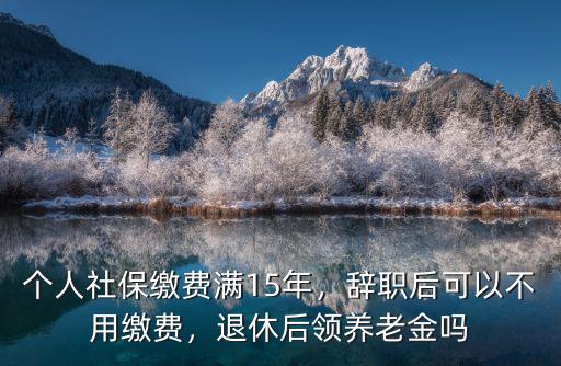 個人社保繳費滿15年，辭職后可以不用繳費，退休后領養老金嗎