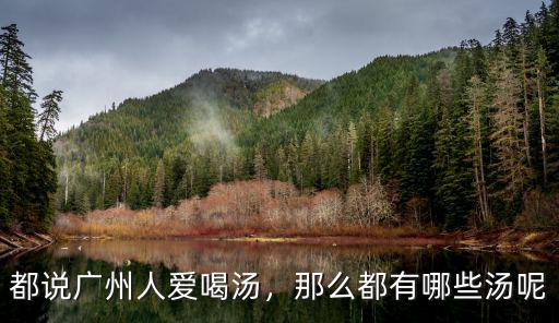 廣州哪里有湯喝,都說廣州人愛喝湯