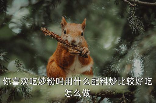 廣東炒粉怎么炒好吃視頻,柳州切粉怎樣炒好吃