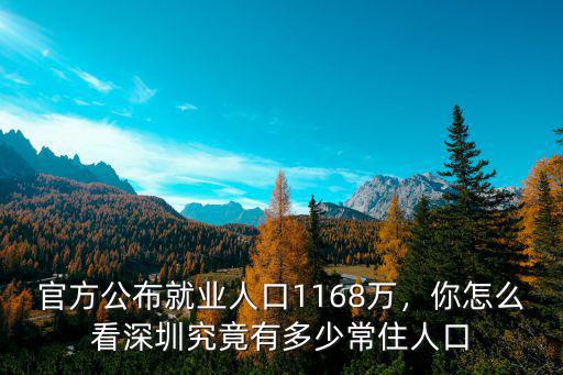 中國深圳人口有多少人口數,深圳究竟有多少常住人口