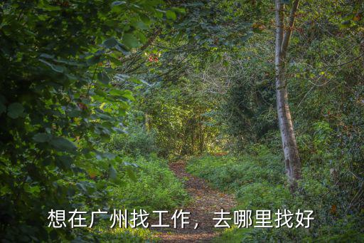 在廣東做銷售去哪里好,在廣州做銷售的話