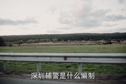 深圳市輔警怎么還考試,深圳輔警待遇如何