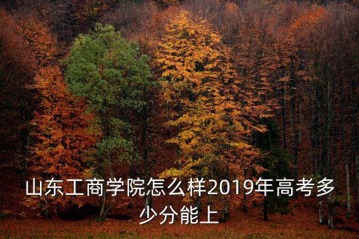 山東工商學院怎么樣2019年高考多少分能上