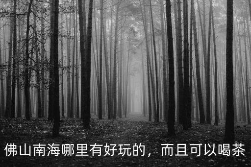 佛山南海哪里有滋補靚湯飲,佛山南海哪里有好玩的