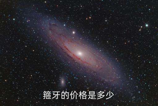 箍牙的價格是多少