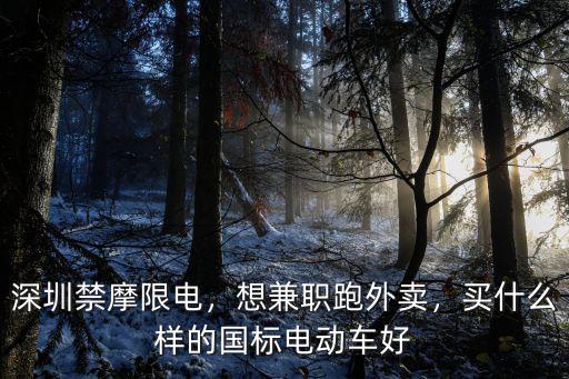 深圳禁摩限電，想兼職跑外賣，買什么樣的國標電動車好