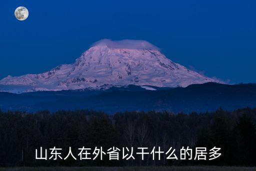 山東人在外省以干什么的居多