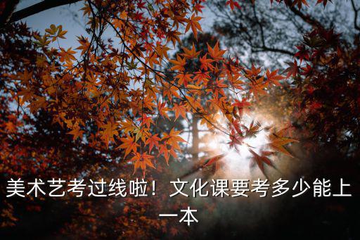 浙江美術藝考生文化課多少分能上一本,美術藝考過線啦