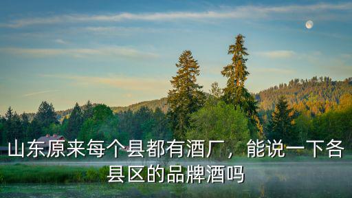 山東原來每個縣都有酒廠，能說一下各縣區的品牌酒嗎