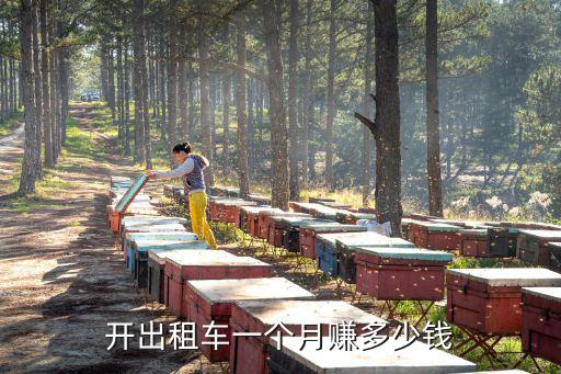 開出租車一個月賺多少錢