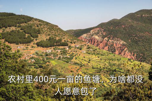 農村里400元一畝的魚塘，為啥都沒人愿意包了