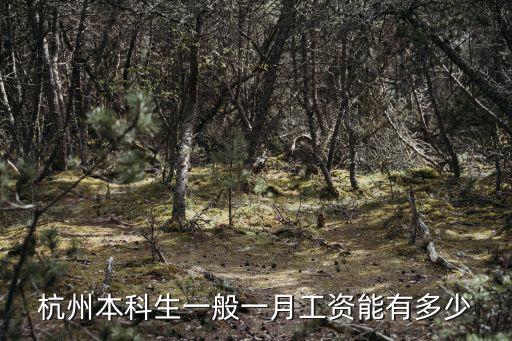 杭州工資一般多少,想去杭州上班