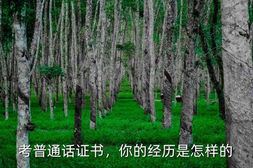 考普通話證書，你的經歷是怎樣的