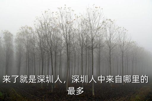 來了就是深圳人，深圳人中來自哪里的最多