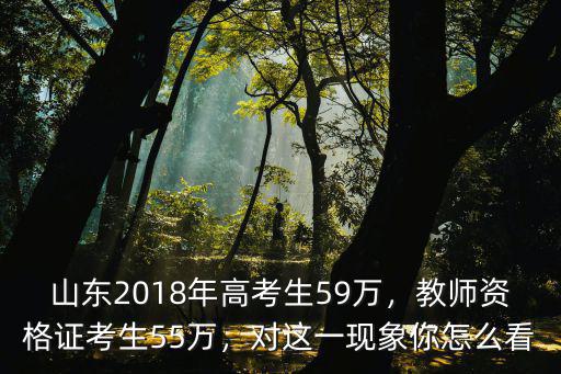 2018年高考濟南有多少考生,山東2018年高考生59萬